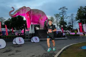 BIB: 
                            <button type="button" onclick="openModal(26529655)" class="btn btn-primary btn-sm float-right btn-popup" data-toggle="modal" data-target=".modal-high-quality">
                        <i class="fas fa-shopping-cart"></i> Add to Cart
                    </button>
                                            <button type="button" onclick="isThisMe(26529655, true)" class="btn btn-success btn-sm float-right btn-popup btn-isme hidden" data-toggle="tooltip" data-placement="bottom" title="นี่คือรูปของคุณใช่ไหม คลิกที่นี่เพื่อเอาเข้าอัลบั้ม">
                        <i class="fas fa-plus"></i> Add to album
                    </button>
                    <button type="button" onclick="isThisMe(26529655, false)" class="btn btn-warning btn-sm float-right btn-popup btn-isnotme hidden">
                        <i class="fas fa-ban"></i> Remove from album
                    </button>